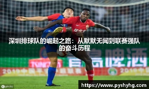 深圳排球队的崛起之路：从默默无闻到联赛强队的奋斗历程