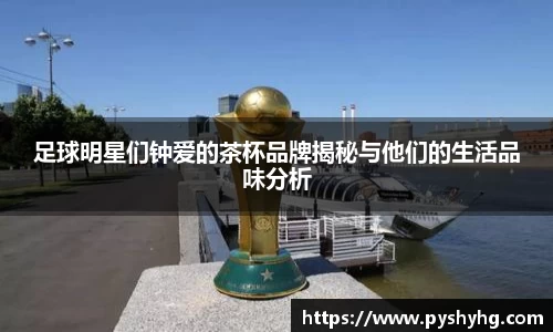 足球明星们钟爱的茶杯品牌揭秘与他们的生活品味分析